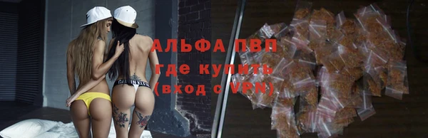 гидра Приозерск