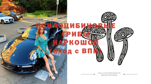 дживик Арсеньев