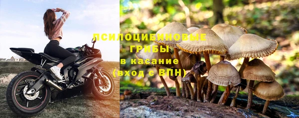 jwh Армянск